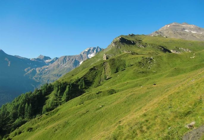 Bild 13