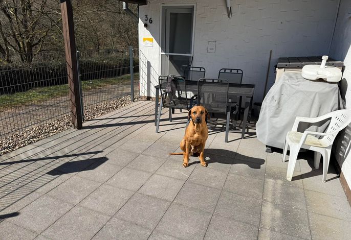 Bild 18