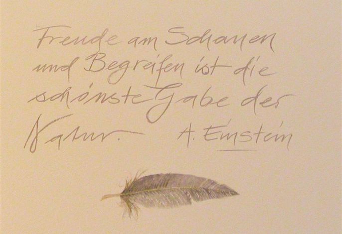 Bild 35