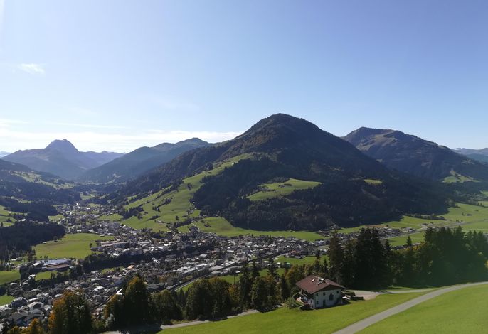 Bild 19