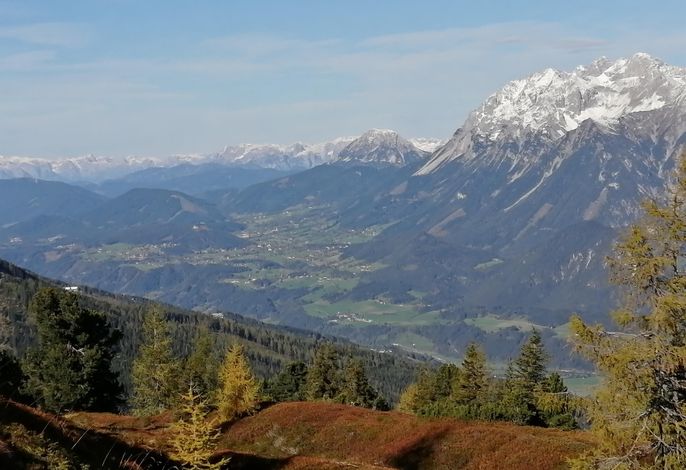 Bild 24