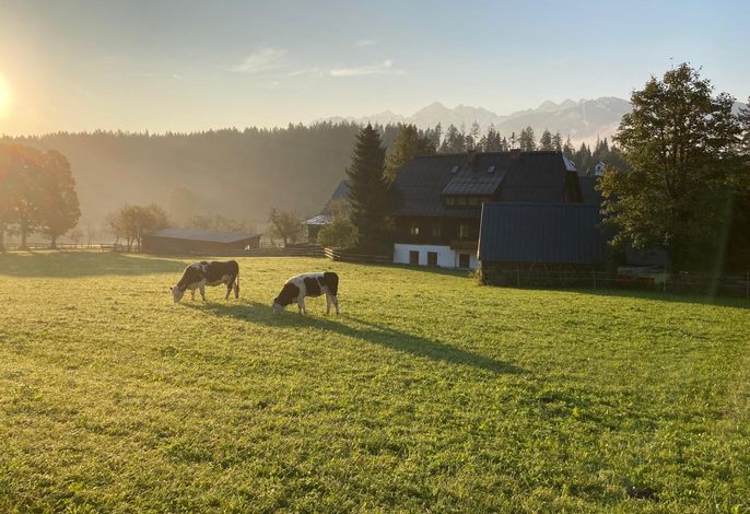 Bild 16