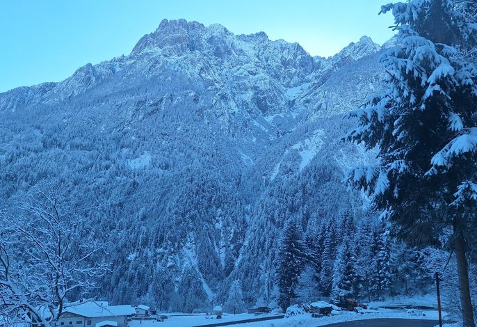 Bild 15