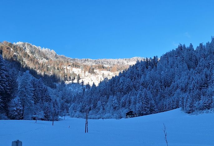 Bild 16