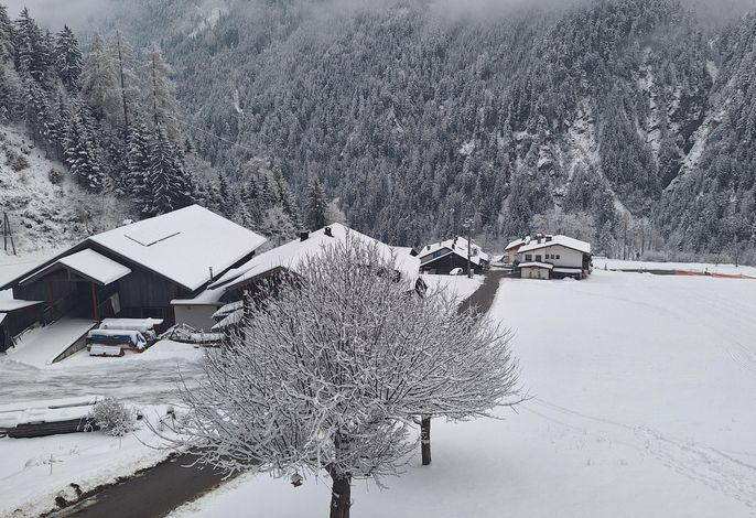 Bild 13