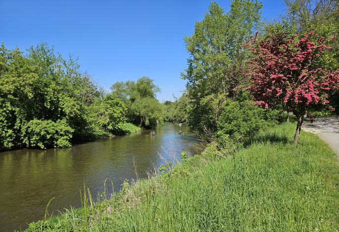 Bild 12