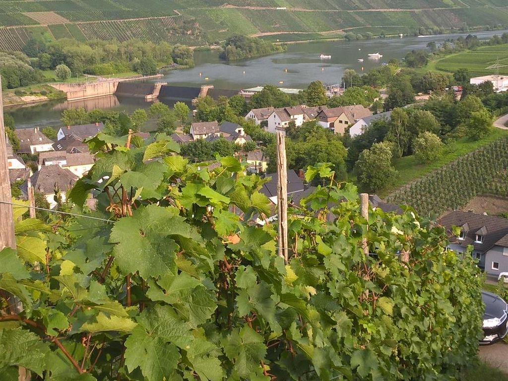 Wein- und Gästehaus Schiefergold