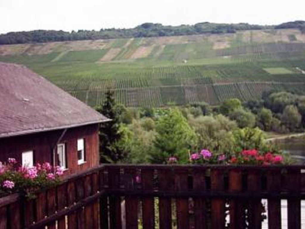 Wein- und Gästehaus Schiefergold