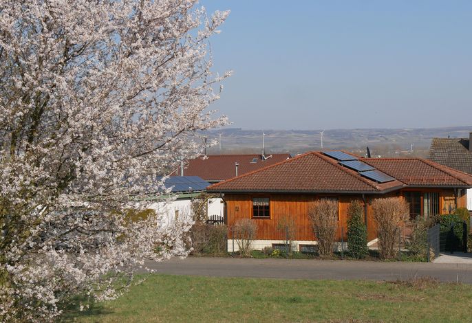 Ferienwohnung mit 2 Schlafzimmer und Terrasse