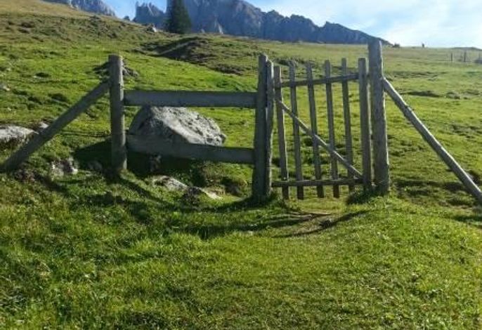 Bild 19