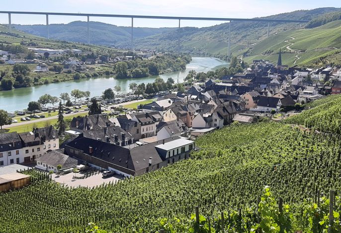 Bild 7