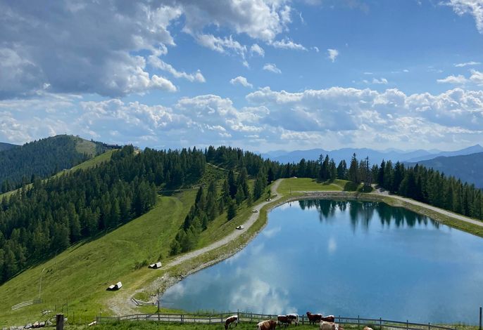 Bild 31