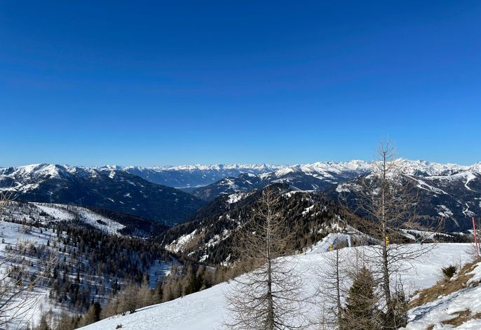 Bild 14