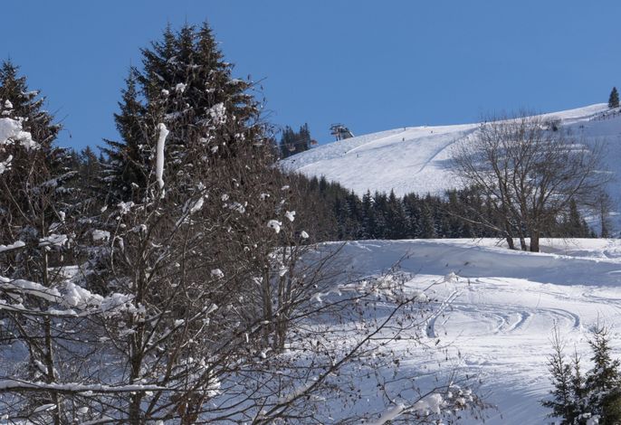 Bild 17
