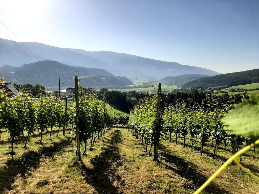 Weinhof vlg. Ritter