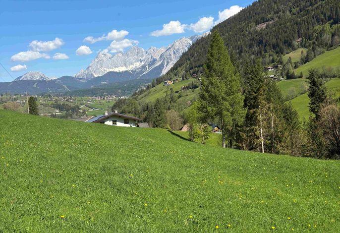 Bild 13