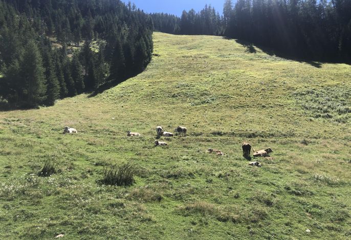 Bild 12