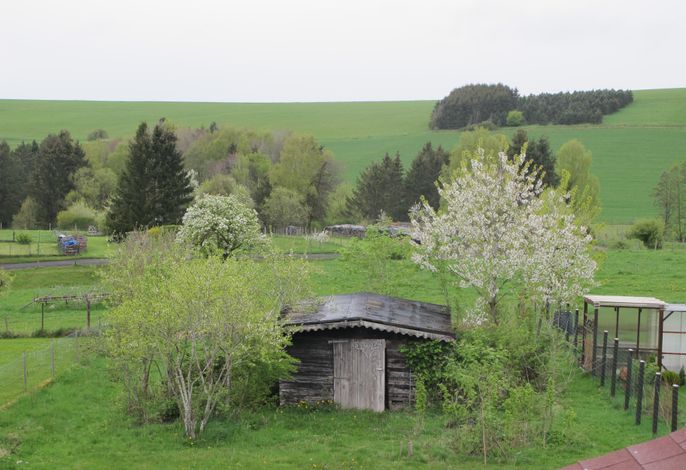 Bild 17