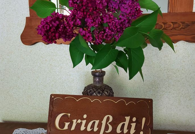 Bild 48