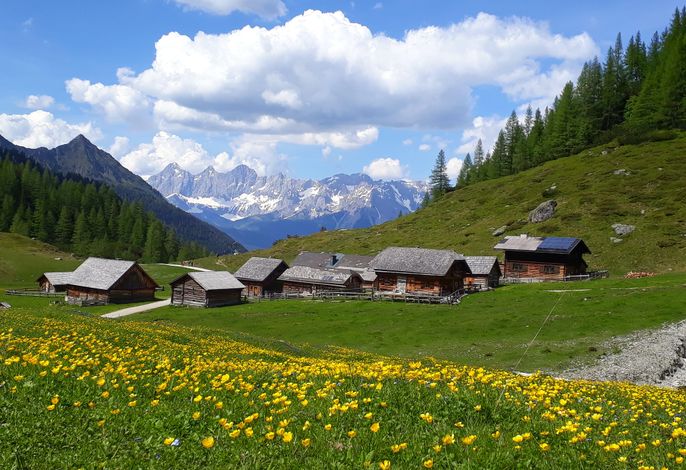 Bild 56