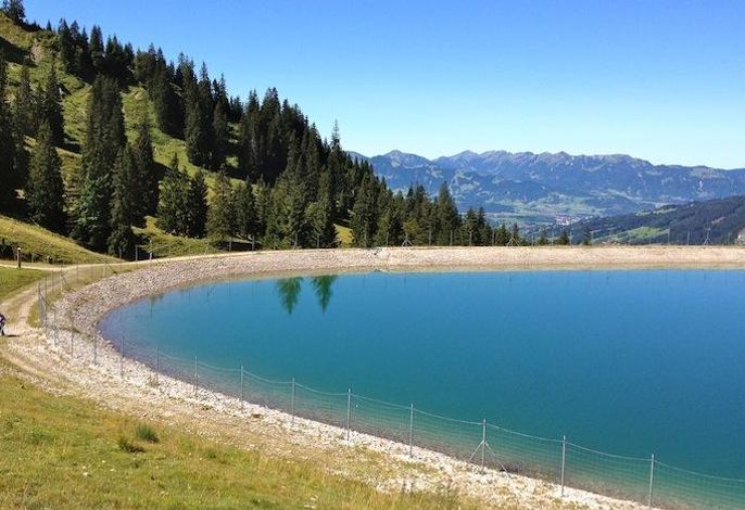 Bild 12