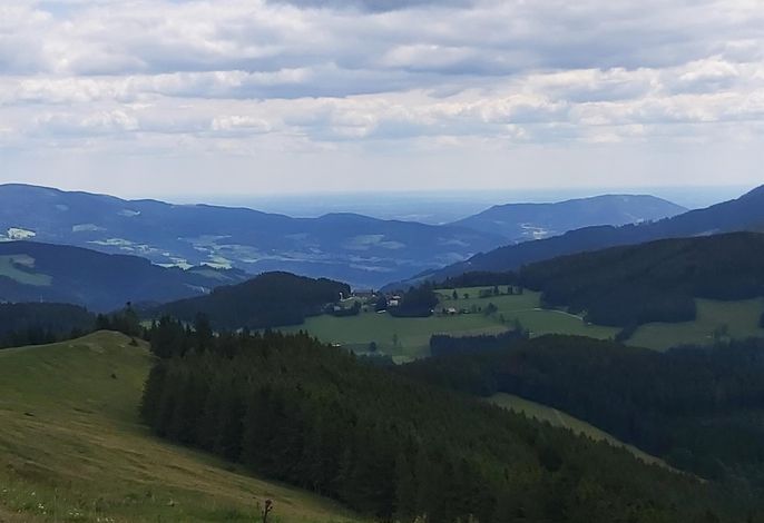 Bild 19