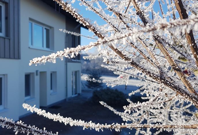 Bild 22