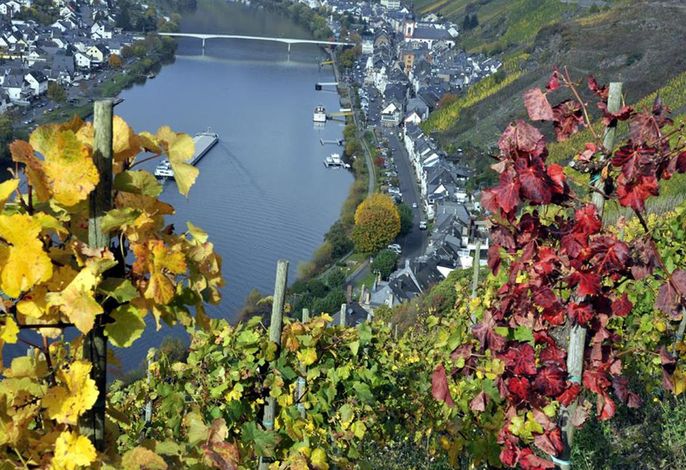 Bild 32