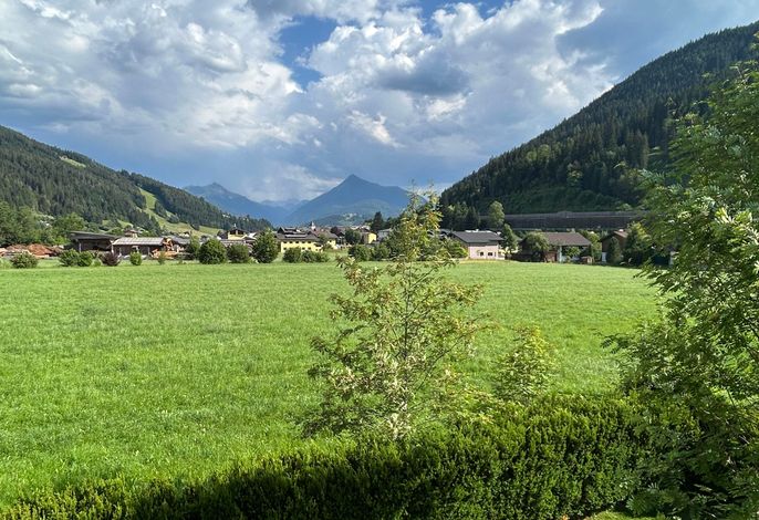Bild 15