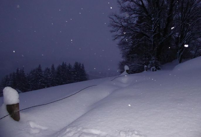 Bild 18