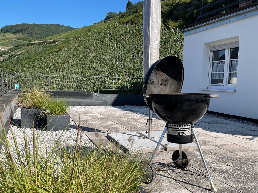 The Vineyard View