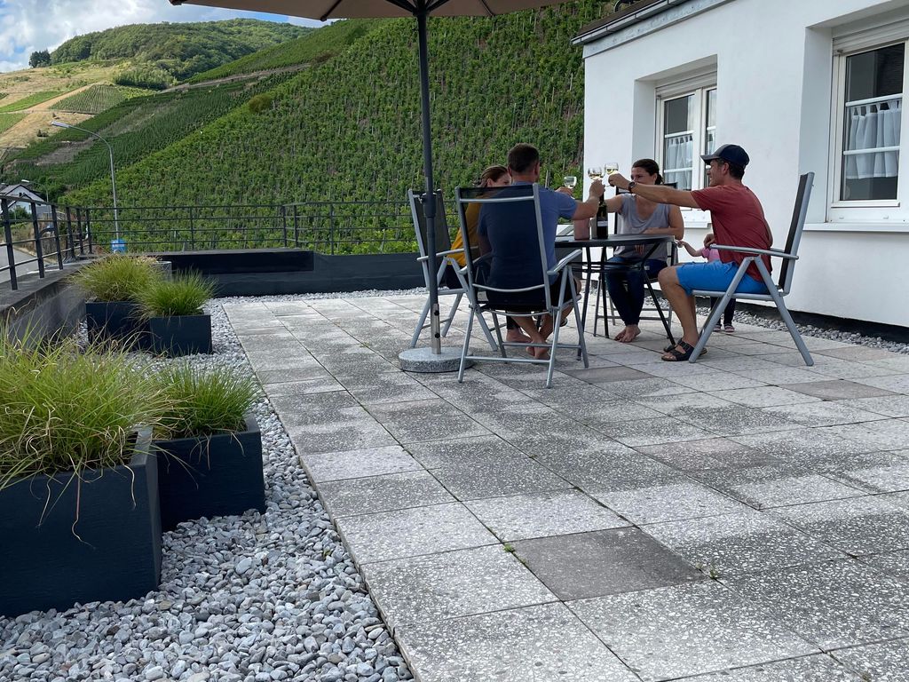 The Vineyard View
