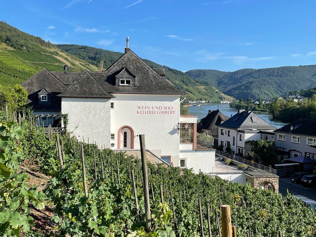 The Vineyard View