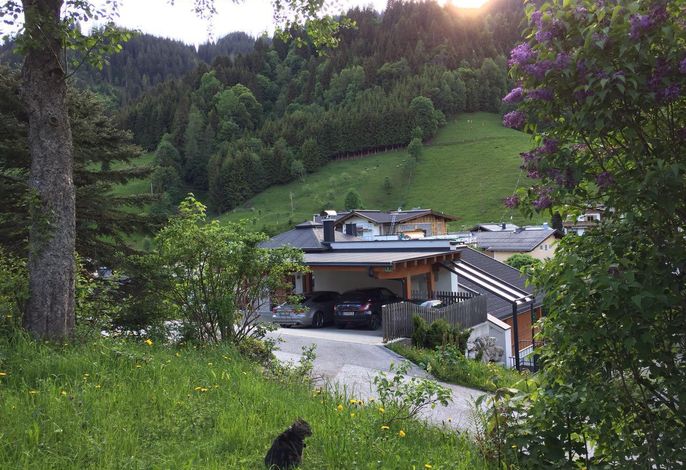 Bild 5