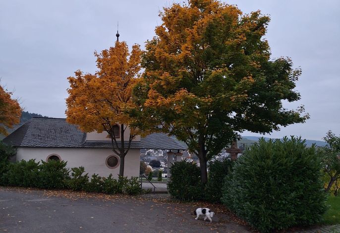 Bild 10