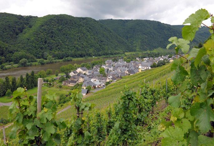 Bild 15