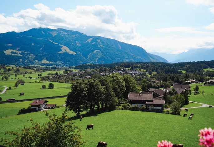 Bild 31