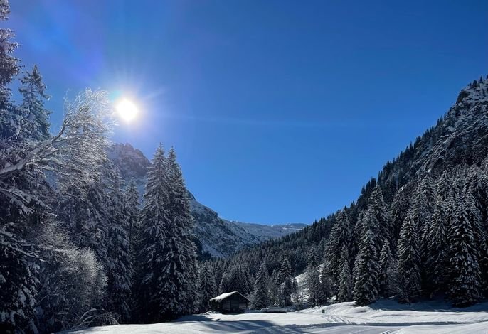 Bild 12