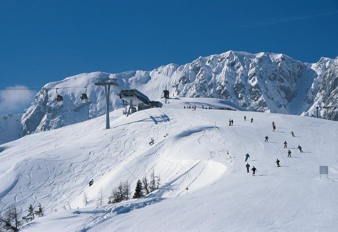Bild 78