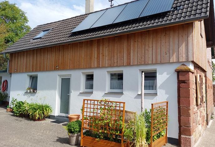 Bild 16