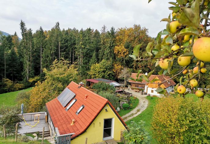 Bild 51