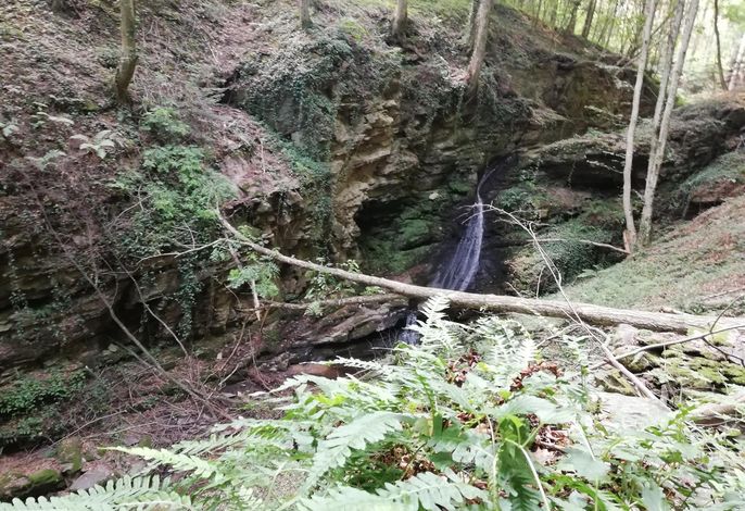 Bild 22