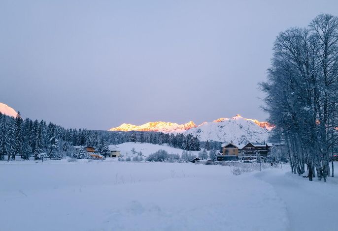 Bild 18
