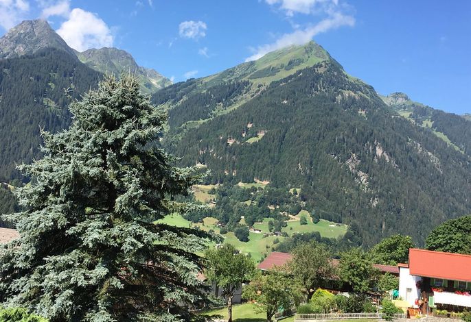 Bild 19