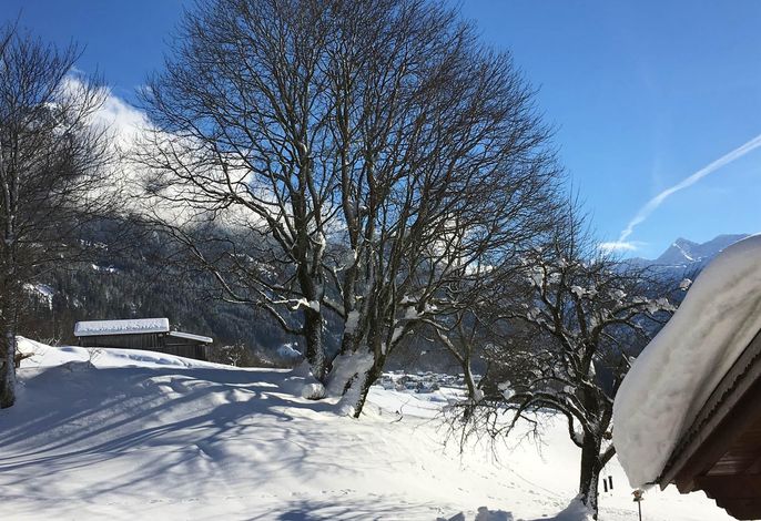 Bild 18