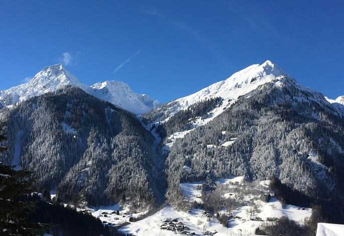 Bild 15
