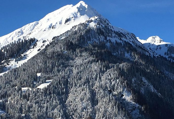 Bild 16