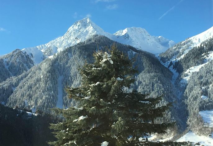 Bild 2