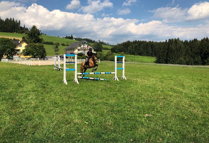 Bild 14