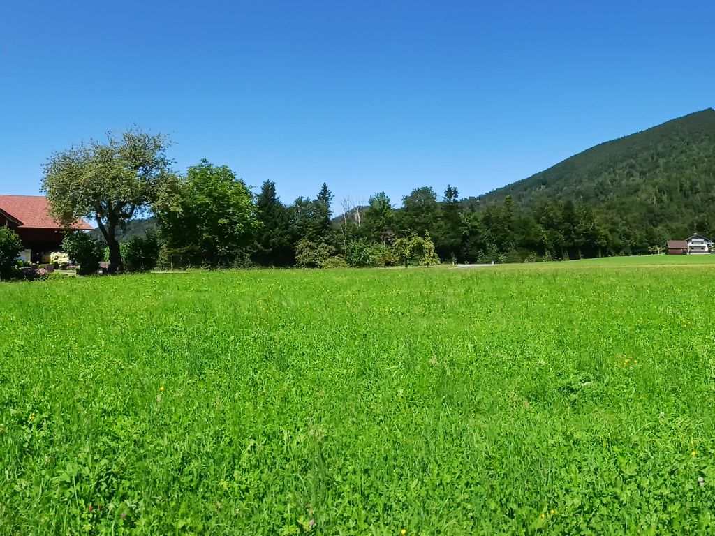 Bio Bauernhof Vordergschwandtgut